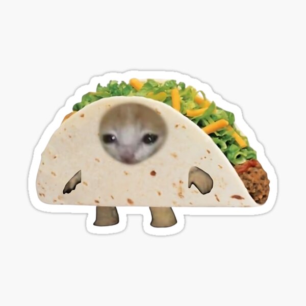 Taco